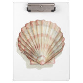 Roze en Cream Seashell Klembord (Voorkant)