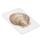 Roze en Cream Seashell Magneet (Rechterzijde)