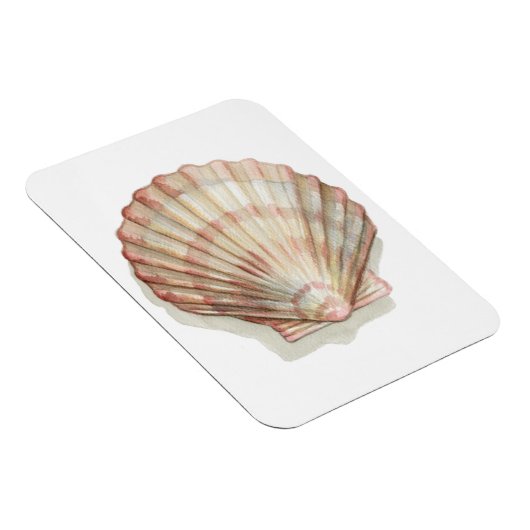 Roze en Cream Seashell Magneet (Rechterzijde)