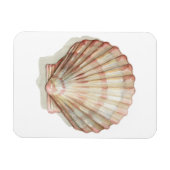 Roze en Cream Seashell Magneet (Horizontaal)