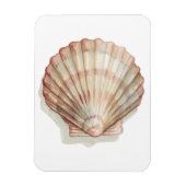 Roze en Cream Seashell Magneet (Verticaal)