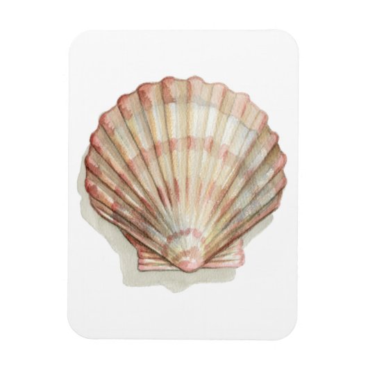 Roze en Cream Seashell Magneet (Verticaal)