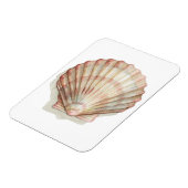 Roze en Cream Seashell Magneet (Linkerzijde)
