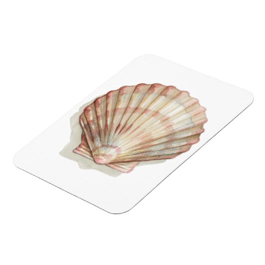 Roze en Cream Seashell Magneet (Linkerzijde)