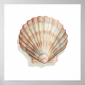 Roze en Cream Seashell Poster (Voorkant)