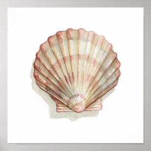 Roze en Cream Seashell Poster