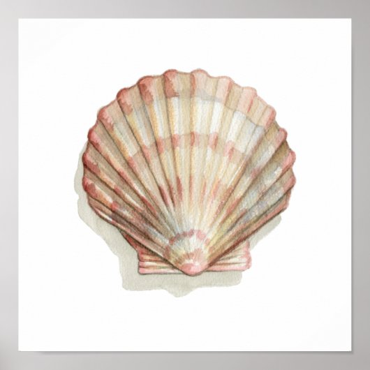 Roze en Cream Seashell Poster (Voorkant)