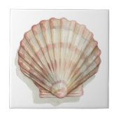 Roze en Cream Seashell Tegeltje (Voorkant)