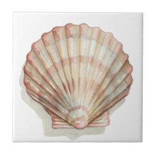 Roze en Cream Seashell Tegeltje