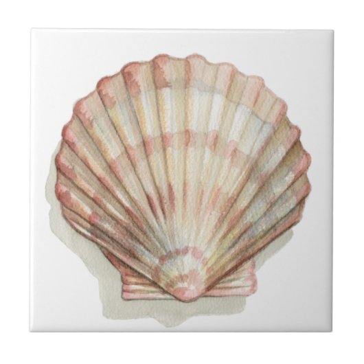 Roze en Cream Seashell Tegeltje (Voorkant)