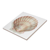 Roze en Cream Seashell Tegeltje (Zijkant)