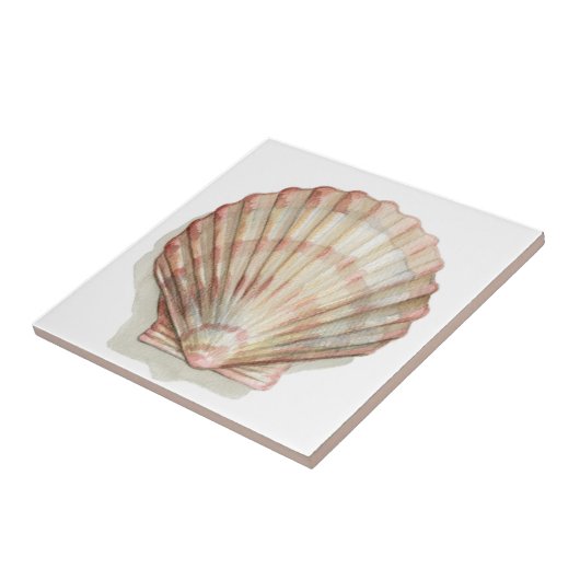 Roze en Cream Seashell Tegeltje (Zijkant)