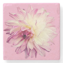 Roze en crème bloem