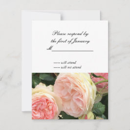 Roze en Crème Roos Antwoordkaart RSVP Kaartje