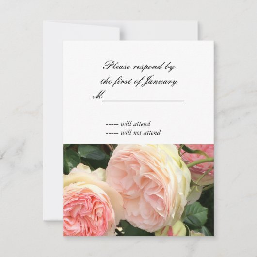 Roze en Crème Roos Antwoordkaart RSVP Kaartje (Voorkant)