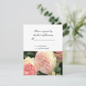 Roze en Crème Roos Antwoordkaart RSVP Kaartje (Staand voorkant)