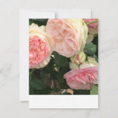 Roze en Crème Roos Antwoordkaart RSVP Kaartje (Achterkant)
