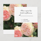 Roze en Crème Roos Antwoordkaart RSVP Kaartje (Voorkant / Achterkant)