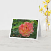 Roze en geel bloemportret Roos Kaart (Gele Bloem)