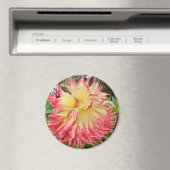 Roze en Geel Dahlia Magnet (Insitu (Vaatwasser))