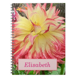 Roze en Geel Dahlia Spiral Notitieboek