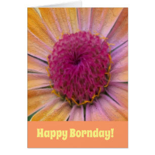 Roze en geel Dahlia wenskaart