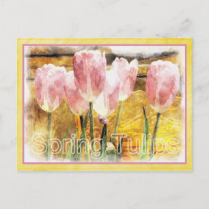 Roze en geel - De lente is voor Tulpen Briefkaart