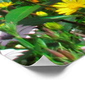 ROZE EN GEEL JOHN 3:16 BLOEMFOTO POSTER (Hoek)