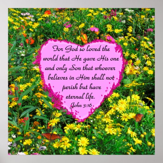 ROZE EN GEEL JOHN 3:16 BLOEMFOTO POSTER (Voorkant)