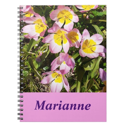 Roze en geel Notitieboek (Voorkant)