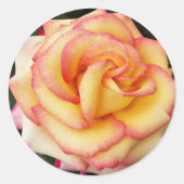 Roze en geel Roos Floral Ronde Sticker (Voorkant)
