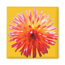 Roze en gele bloem