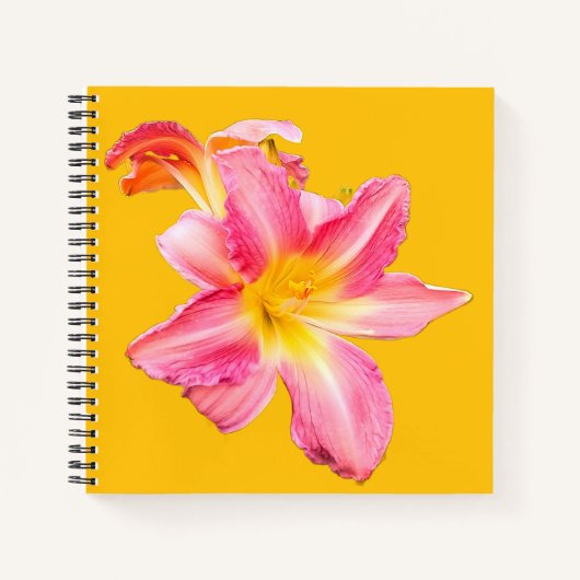 Roze en gele bloem notitieboek (Voorkant)