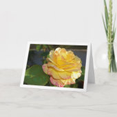 Roze en Gele Bloem Roos Kaart (Voorkant)