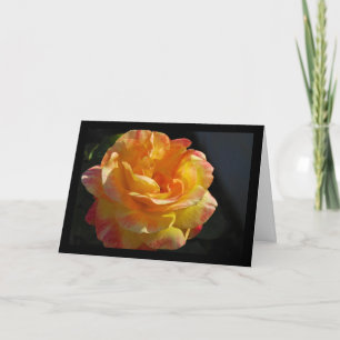 Roze en Gele Bloem Roos Kaart