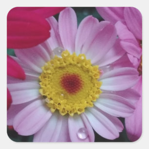 Roze en gele bloem vierkante sticker