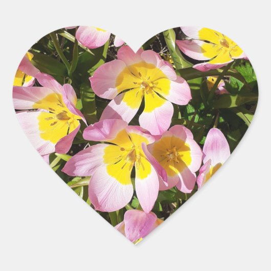Roze en gele bloemen hart sticker (Voorkant)