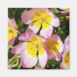 Roze en gele bloemen Magnet