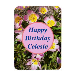 Roze en gele bloemen, zondag magneet