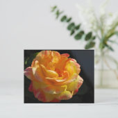 Roze en Gele Bloemige Roos Briefkaart (Staand voorkant)