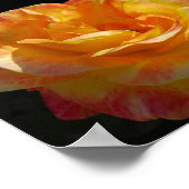 Roze en gele bloemrozen poster (Hoek)