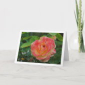 Roze en gele bloemschilderij van een roos kaart (Voorkant)