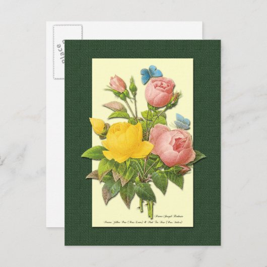 Roze en gele botanische Rozen Blank Briefkaart (Voorkant / Achterkant)