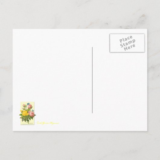 Roze en gele botanische Rozen Blank Briefkaart (Achterkant)