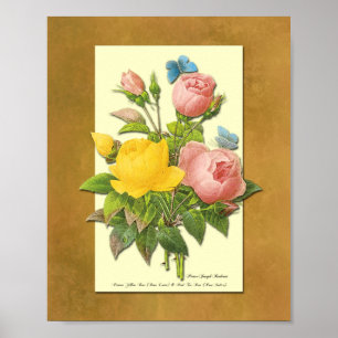 Roze en gele botanische Rozen Faux Parchment Art Poster