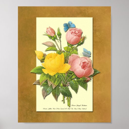 Roze en gele botanische Rozen Faux Parchment Art Poster (Voorkant)