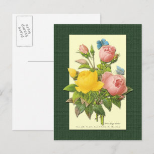 Roze en Gele Botanische Rozen Lege Postkaart