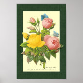 Roze en gele botanische Rozen op groen Poster (Voorkant)