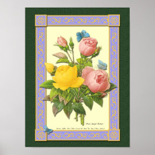 Roze en gele botanische Rozen Poster