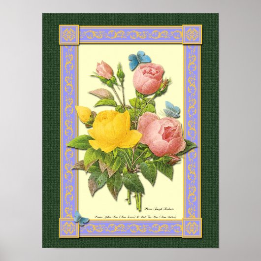 Roze en gele botanische Rozen Poster (Voorkant)